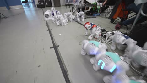 Reihe-Von-Nao-Robotern,-Die-Beim-Turnier-Auf-Dem-Boden-Angeklagt-Werden