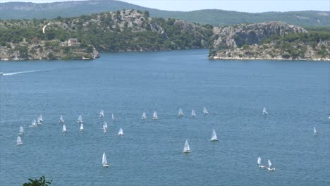 Steady-shot-4k-view-from-above-of-the-Sailing-week-in-Sibenik