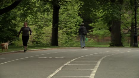 Radfahrer,-Jogger-Und-Eltern-Mit-Sohn-Mit-Helm-Auf-Skateboard,-Die-Durch-Den-Central-Park-Fahren