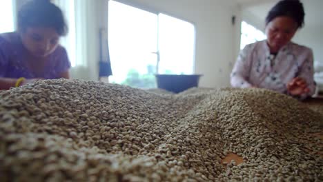 Two-female-workers-selecting-green-raw-coffee-beans-being-sorted-out-after-drying