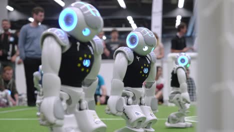 Nao-Roboter,-Die-Hinter-Dem-Fußballtornetz-über-Das-Spielfeld-Laufen