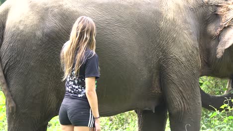 Female-Tourist-Touching-Elephant,-Close-Up,-Erawan-National-Park,-Thailand