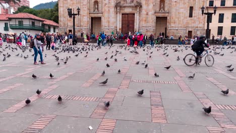 Muchas-Aves-En-La-Plaza-Principal-Del-Centro-Histórico-De-Bogotá,-Colombia.