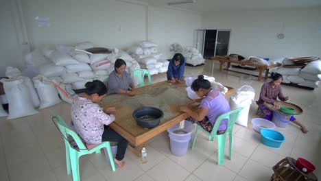 Gruppe-Von-Frauen,-Die-In-Einer-Kaffeefabrik-Arbeiten