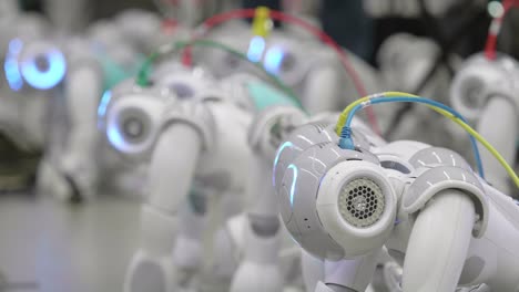 Collection-Of-Nao-Robots-Being-Charged-On-The-Floor