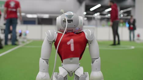 Back-View-Of-NAO-Football-Robot-With-Cable-Attached-To-Head
