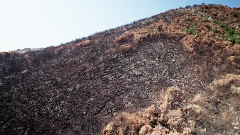 Verbrannter-Wald,-Aufgenommen-Mit-Drohne-Nach-Einem-Waldbrand-In-Sizilien-In-Den-Bergen