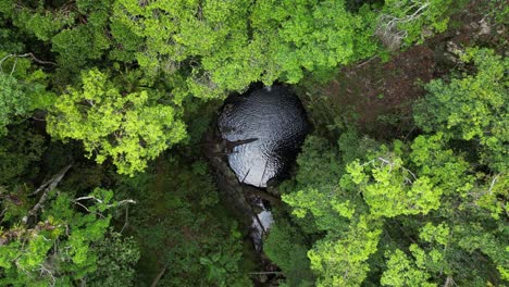 Agua-Goteando-En-Un-Sumidero-Formado-Naturalmente-Escondido-En-Lo-Profundo-De-Un-Dosel-De-árboles-De-La-Selva-Tropical