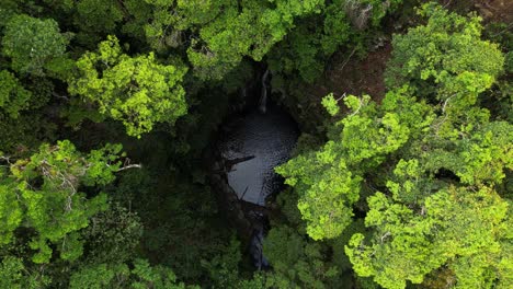 Agua-Derramándose-En-Un-Sumidero-Natural-Visto-A-Través-De-Un-Exuberante-Dosel-De-Altos-árboles-De-La-Selva-Tropical