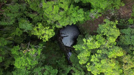 Abstieg-Zu-Einem-Natürlichen-Erdloch,-Das-Durch-Ein-Dichtes-Regenwalddach-Nicht-Sichtbar-Ist
