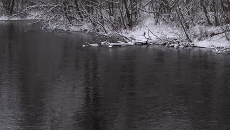 River-in-winter,-flowing-water,-snowy-broken-tree-in-water