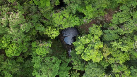Ascending-high-above-a-natural-sinkhole-hidden-from-view-by-a-dense-rainforest-forest-canopy