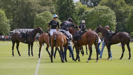 Polo-player-moves-from-one-horse-to-another-without-touching-the-ground