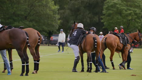 Polo-player-mounts-a-horse-from-the-ground-and-rides-off-in-slow-motion