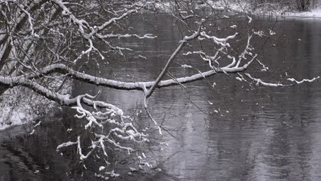 Snowy-tree-branches-arching-over-a-winter-river