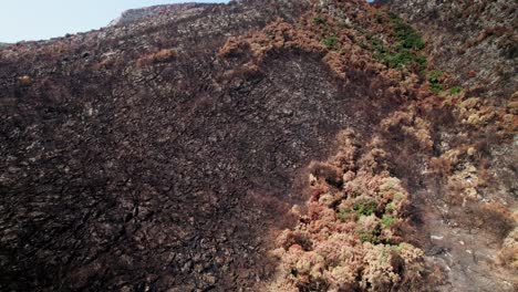 Bosque-Quemado-Capturado-Con-Drones-Después-De-Un-Incendio-Forestal-En-Sicilia-En-Las-Montañas