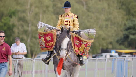 Household-Cvalary-drum-horse-is-ridden-by-a-soldier-in-a-gold-coat-to-a-parade