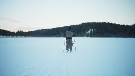 Indre-Fosen,-Kreis-Tröndelag,-Norwegen-–-Ein-Mann-Und-Sein-Hund-Beim-Skifahren-In-Der-Schneebedeckten-Landschaft-In-Der-Nähe-Der-Berge-–-Statische-Aufnahme