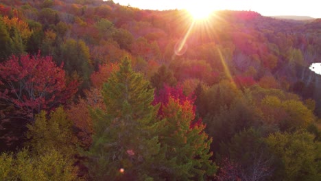 Aerial-drone-shot-of-a-beautiful-morning-sunrise-as-the-sun-rays-illuminate-the-vibrant-autumn-colored-leaves-and-treetops-of-a-forest,-Montréal,-Canada