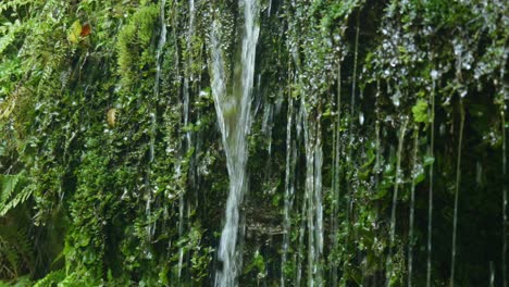 Nature's-ballet:-Close-up-of-water-cascading-down-a-small-waterfall-in-captivating-stock-footage