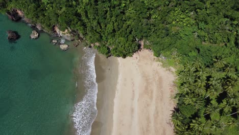 Luftaufnahme-Des-Malerischen-Strandes-El-Valle-Auf-Der-Halbinsel-Samaná-In-Der-Dominikanischen-Republik
