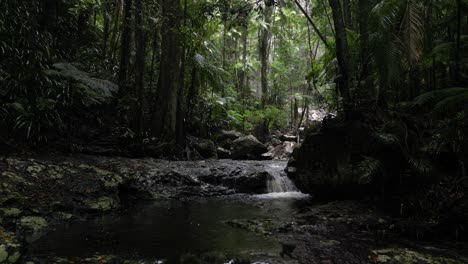 Wasser-Rinnt-Einen-Kaskadierenden-Regenwaldbach-Hinunter,-Der-Sich-Durch-Eine-Tropische-Dschungeloase-Schlängelt