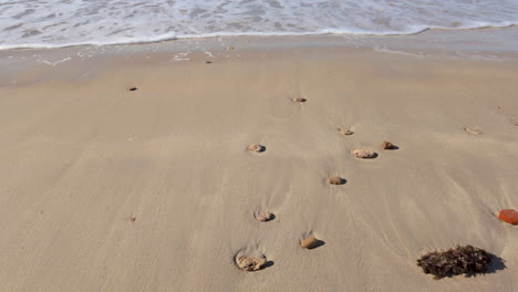 Spur-Von-Fußabdrücken-An-Einem-Unberührten-Sandstrand,-Die-Zum-Meer-Führt