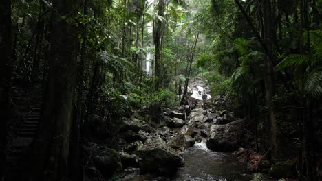 Wasser-Fließt-Einen-üppigen-Dschungelbach-Hinunter-Und-Offenbart-In-Der-Ferne-Einen-Hoch-Aufragenden-Tropischen-Wasserfall