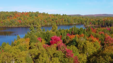 An-establishing-aerial-drone-shot-passing-over-a-forest-to-reveal-a-beautiful-lake-surrounded-by-trees,-Montréal,-Canada