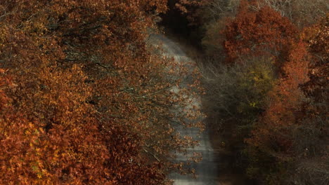 Unbefestigte-Straße-Zwischen-Den-Bäumen-In-Herbstfarben-In-Arkansas,-USA