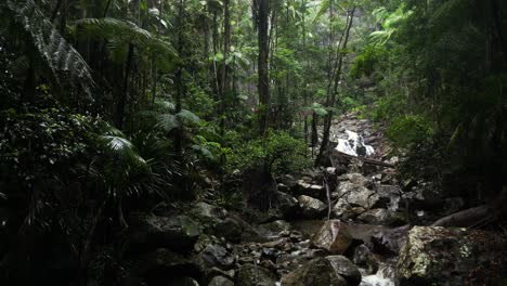 Water-flows-down-a-cascading-rainforest-stream-winding-through-a-tropical-jungle-oasis