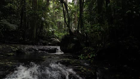 People-exploring-a-lush-tropical-rainforest-oasis-walking-track-with-cascading-waterfalls-flowing-into-waterholes
