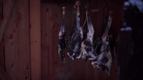 A-Man-is-Inspecting-the-Smoking-Process-of-Venison-Inside-the-Smokehouse-in-Indre-Fosen,-Trondelag-County,-Norway---Static-Shot