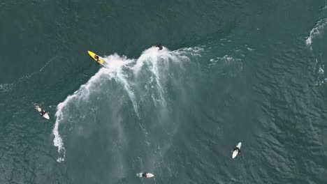 Top-down-drone-video-following-two-surfers-as-they-catch-a-wave-above-shallow-reef