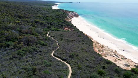 Drone-aerial-scenic-walking-trail-loop-Pinnacles-coastline-bushland-national-park-sandy-beach-travel-holiday-Pambula-Eden-South-Coast-Australia