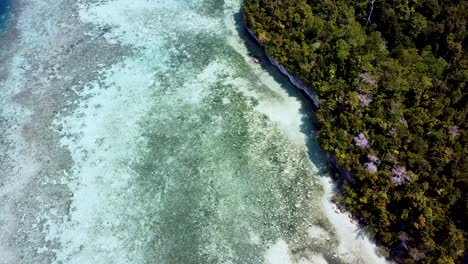 Malerische-Luftaufnahme-Des-Kristallklaren-Meerwassers,-Des-Korallenriffs-Und-Der-Mit-Regenwaldbäumen-Bedeckten-Insel-In-Raja-Ampat,-West-Papua,-Indonesien