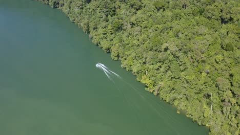 Panoramalandschaft-Des-Izabal-Sees-Und-Eines-Motorboots,-Das-Neben-Dem-Dschungel-Fährt