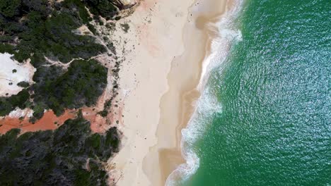Drohnen-Luftaufnahme-Aus-Der-Vogelperspektive-Der-Sandstrandlandschaft-Pinnacles-Beowa-Nationalpark-Felsformation-Busch-Küstenlinie-Reisetourismus-Eden-Broadwater-Australien