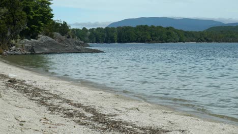 Ruhe-Am-See:-Fesselnde-Stockaufnahmen-Eines-Ruhigen-Strandes-Am-Lake-Manapouri