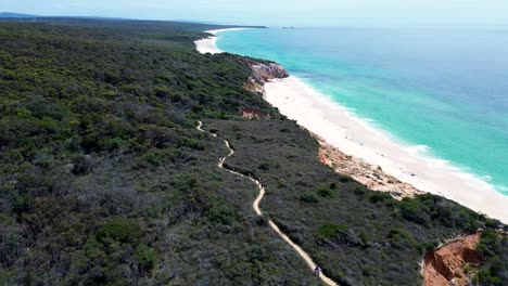 Drone-aerial-people-walking-along-coastline-Pinnacles-trail-walking-loop-bushland-coastal-beach-travel-tourism-landscape-Eden-Merimbula-Australia-4K