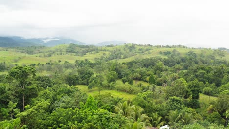 Luftaufnahme-über-Der-Grünen,-üppigen-Karibischen-Vegetation-Des-Dulce-River-In-Guatemala