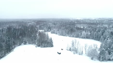 Aerial-view-of-a-snowy-landscape-with-dense-evergreen-forest-and-a-clearing-with-a-hut-during-winter