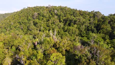 Luftaufnahme-Der-Landschaft-über-Hohen-Regenwaldbäumen-Auf-Einer-Abgelegenen-Tropischen-Insel-In-Raja-Ampat,-West-Papua,-Indonesien