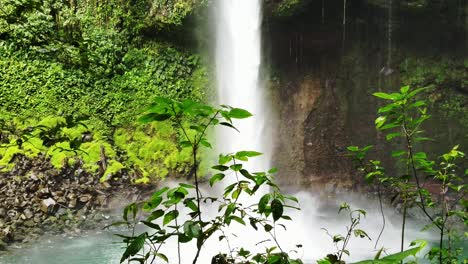 Blattvordergrund-Im-Wasserfall-La-Fortuna-Im-Nationalpark-Costa-Rica