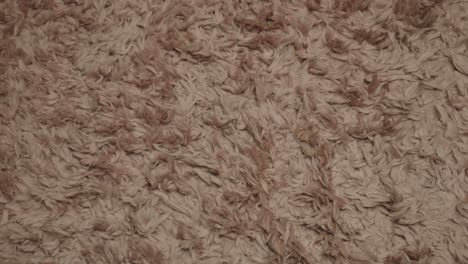 Slow-Zoom-In-Background-Back-Drop-Material-Organic-Large-Brown-Alpaca-Fluffy-Cotton-Wool-Rug-Texture-Soft-Luxurious-Warm-Hairy-Fur