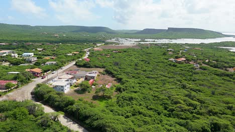 Coastal-community-pops-up-between-dense-tropical-shrubland-in-Caribbean