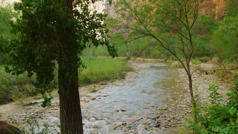 Wunderschöner-Fluss,-Der-Zwischen-Den-Von-Bäumen-Umgebenen-Halterungen-In-Richtung-Kamera-Fließt