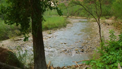 Ultraweitwinkelaufnahme-Eines-Atemberaubenden-Flusses,-Der-In-Einen-Von-Bäumen-Und-Hohen-Bergen-Umgebenen-See-Im-Zion-Nationalpark-Fließt
