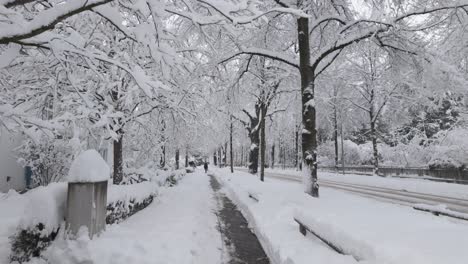 Munchen-City-Avenue-Covered-In-Deep-Snow-In-Germany