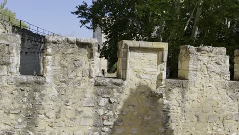 Zinnen-Einer-Sandsteinmauer-Im-Sonnenschein-Frankreichs